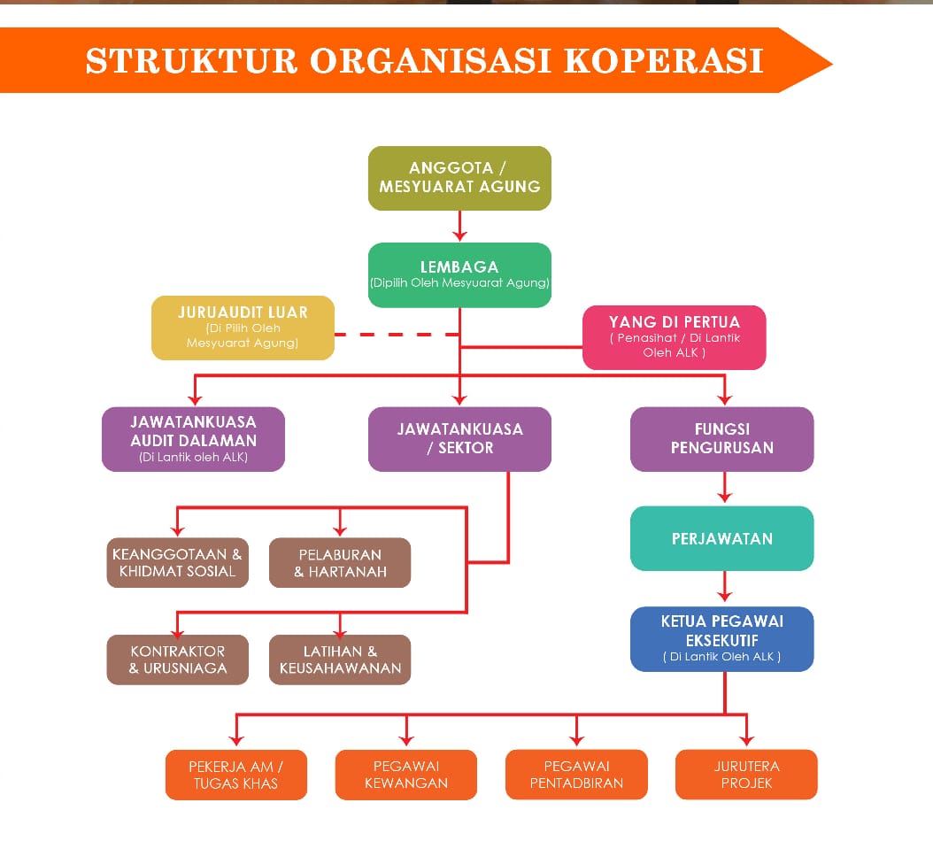 Struktur Organisasi Koperasi